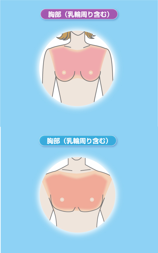 胸部（乳輪周り含む）